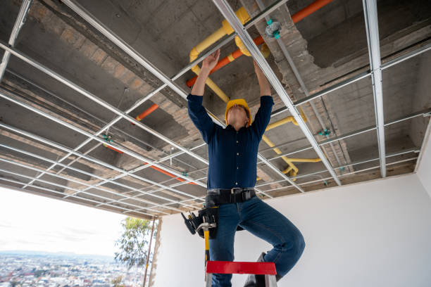 Best Clogged Drain Plumber  in Rosemount, OH